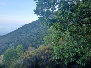 Fossa delle Felci